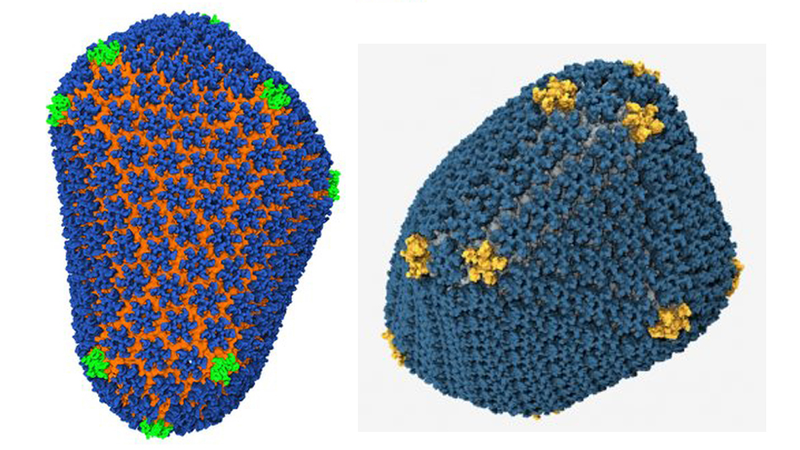 Illustration for article titled How a Supercomputer May Have Finally Unlocked a Way to Beat HIV